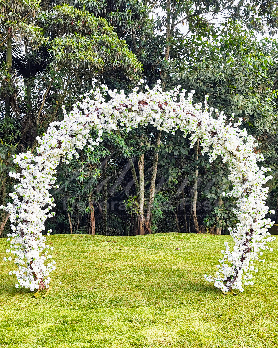 Aluguel de arco floral com cerejeiras brancas para casamento, mini wedding e eventos elegantes